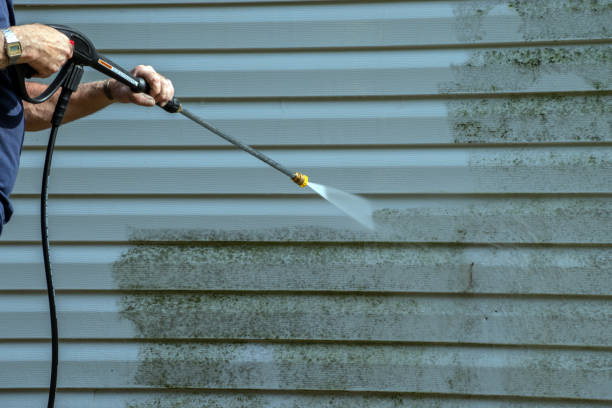 Best Roof Washing  in Sayville, NY